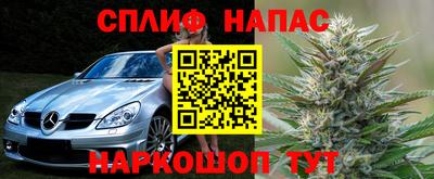 амф Можга