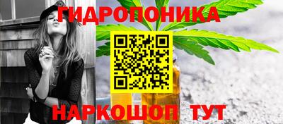амф Можга