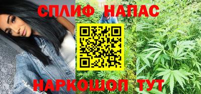 индика Можайск