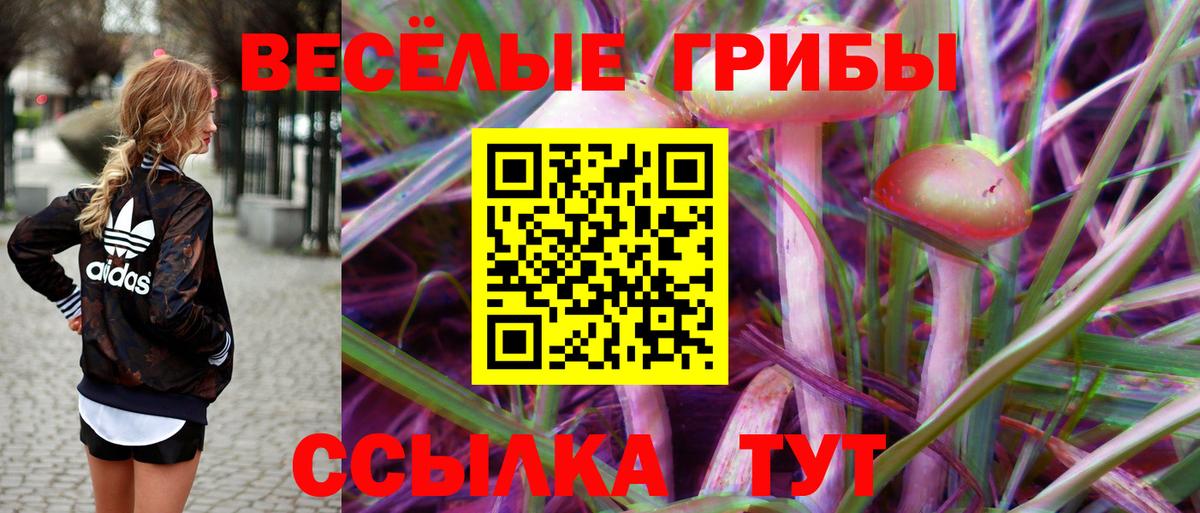 Вязьма  Галлюциногенные грибы Psilocybine cubensis  Галлюциногенные грибы мухоморы  Вход с VPN 